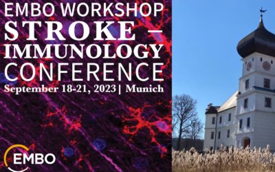 Stroke-Immunology Conference, September 18-21, 2023